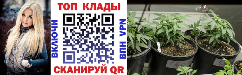 Названия наркотиков Волгоград Кокаин  Меф мяу мяу  Альфа ПВП  Канабис  ГАШ 