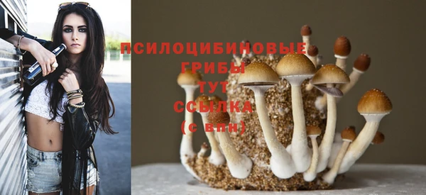 амфетамин Алексин
