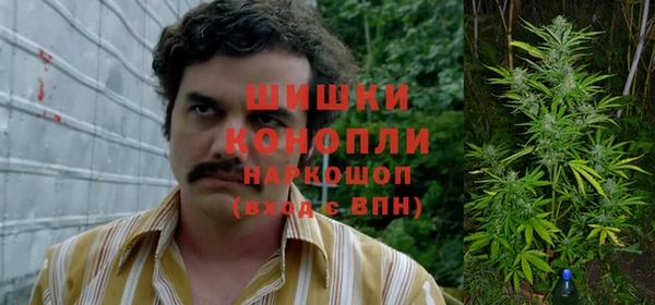 бошки Алексеевка