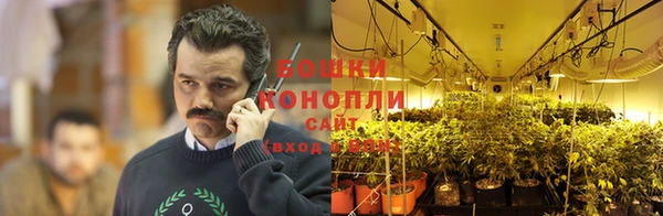бошки Алексеевка