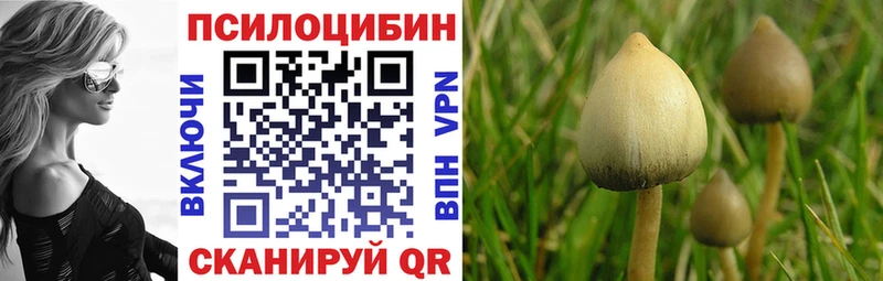 Псилоцибиновые грибы Psilocybine cubensis  kraken сайт  Волгоград 